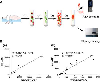 Bacteria Wear ICG Clothes for Rapid Detection of Intracranial Infection in Patients After Neurosurgery and Photothermal Antibacterial Therapy Against Streptococcus Mutans